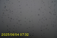 Img20250604_073250.jpg