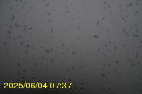 Img20250604_073750.jpg