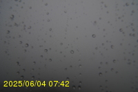 Img20250604_074250.jpg