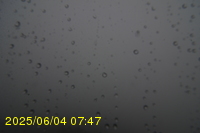 Img20250604_074750.jpg