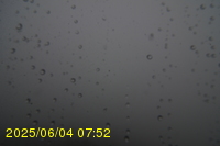 Img20250604_075250.jpg