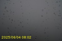 Img20250604_080250.jpg