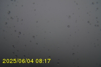 Img20250604_081750.jpg