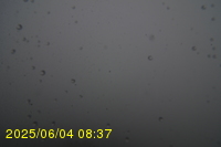 Img20250604_083750.jpg