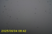 Img20250604_084250.jpg
