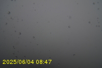 Img20250604_084750.jpg
