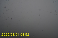 Img20250604_085250.jpg