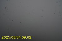 Img20250604_090250.jpg