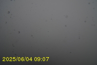 Img20250604_090750.jpg