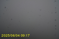 Img20250604_091750.jpg
