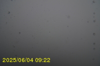 Img20250604_092250.jpg