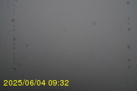 Img20250604_093250.jpg