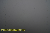 Img20250604_093750.jpg