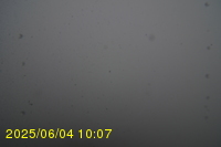 Img20250604_100751.jpg