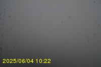 Img20250604_102251.jpg