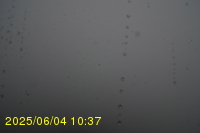 Img20250604_103751.jpg