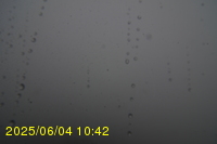 Img20250604_104251.jpg