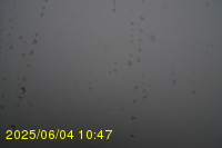 Img20250604_104751.jpg