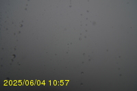 Img20250604_105751.jpg