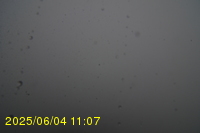 Img20250604_110751.jpg