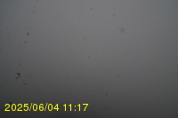 Img20250604_111751.jpg