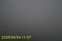 Img20250604_113751.jpg