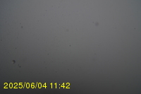 Img20250604_114251.jpg
