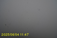 Img20250604_114751.jpg
