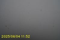 Img20250604_115251.jpg