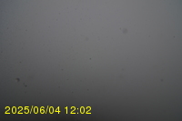 Img20250604_120251.jpg