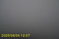 Img20250604_120751.jpg