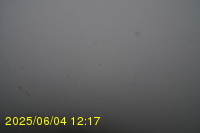 Img20250604_121751.jpg