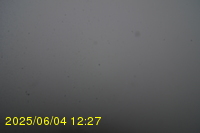 Img20250604_122751.jpg