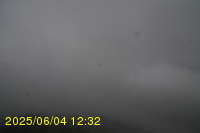 Img20250604_123251.jpg