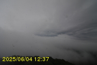 Img20250604_123751.jpg