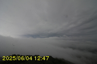 Img20250604_124751.jpg