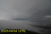 Img20250604_125251.jpg