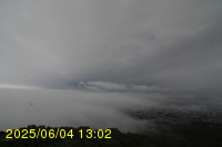 Img20250604_130251.jpg