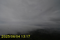 Img20250604_131751.jpg