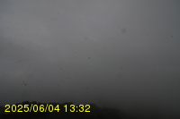 Img20250604_133251.jpg