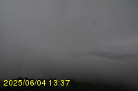 Img20250604_133751.jpg