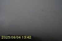 Img20250604_134251.jpg
