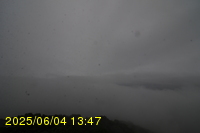 Img20250604_134751.jpg