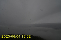 Img20250604_135251.jpg