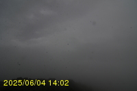 Img20250604_140251.jpg