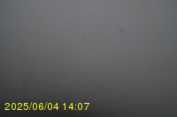 Img20250604_140751.jpg