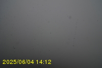 Img20250604_141251.jpg