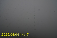 Img20250604_141751.jpg
