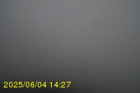 Img20250604_142751.jpg