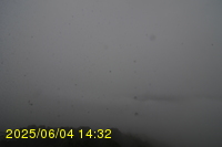 Img20250604_143251.jpg